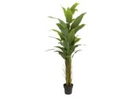 Kunstig plante Strelitzia 180cm