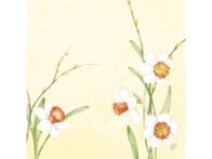 Serviett DUNI 40x40cm Daffodil Joy(60)